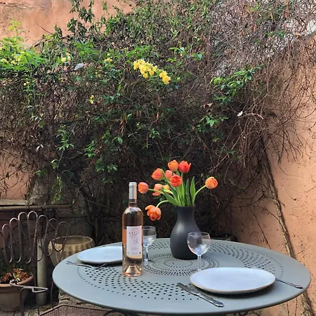 La Lume - Clim Et Terrasse * Arles